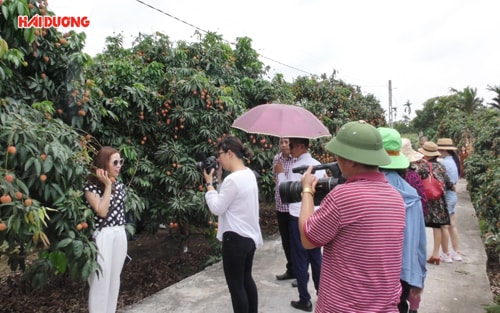 Định hướng phát triển du lịch Thanh Hà